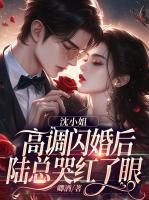 沈青璃郑休冥